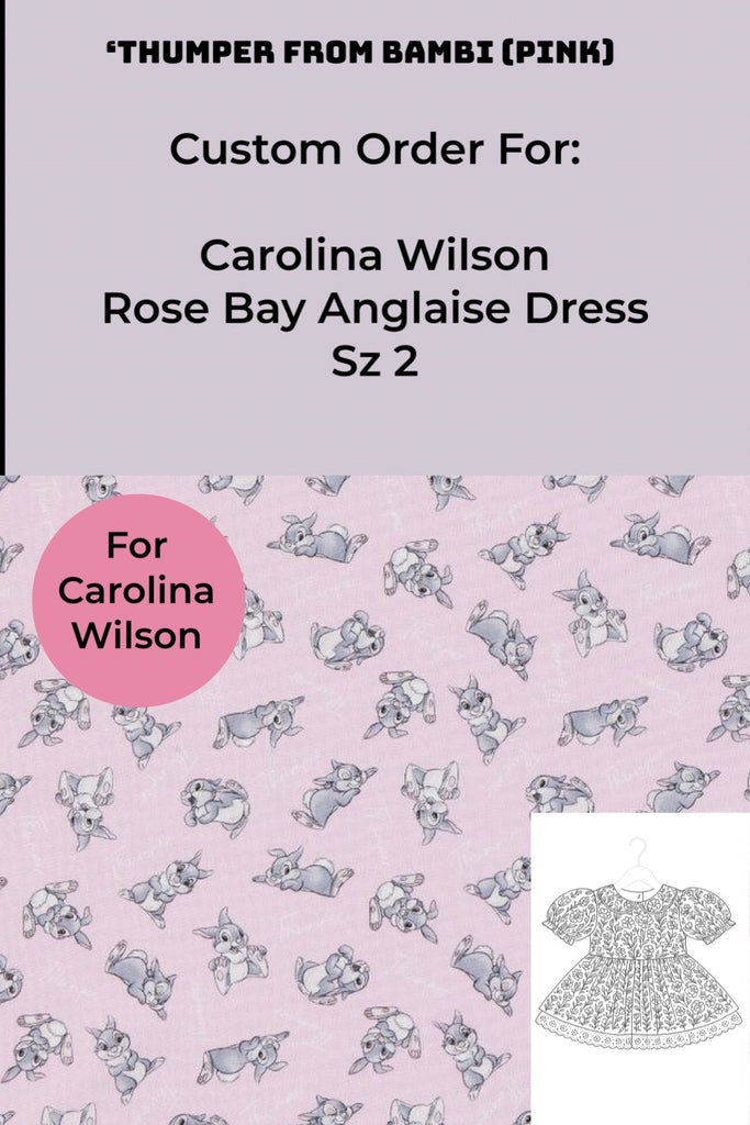 Custom Order for  Carolina | Rose Bay Anglaise Dress Thumper in Pink | Sz 2