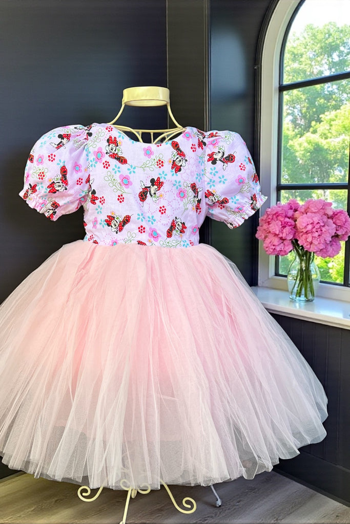 Princess Tulle Dress
Floral Minnie | Sz 4, 5