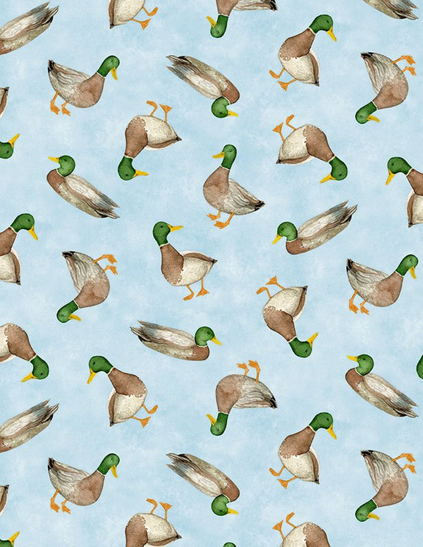 Charlotte Emma Dress | Mallard Toss | Lakefront Collection | By Danielle Leone for Wilmington Prints ~ Sz 4