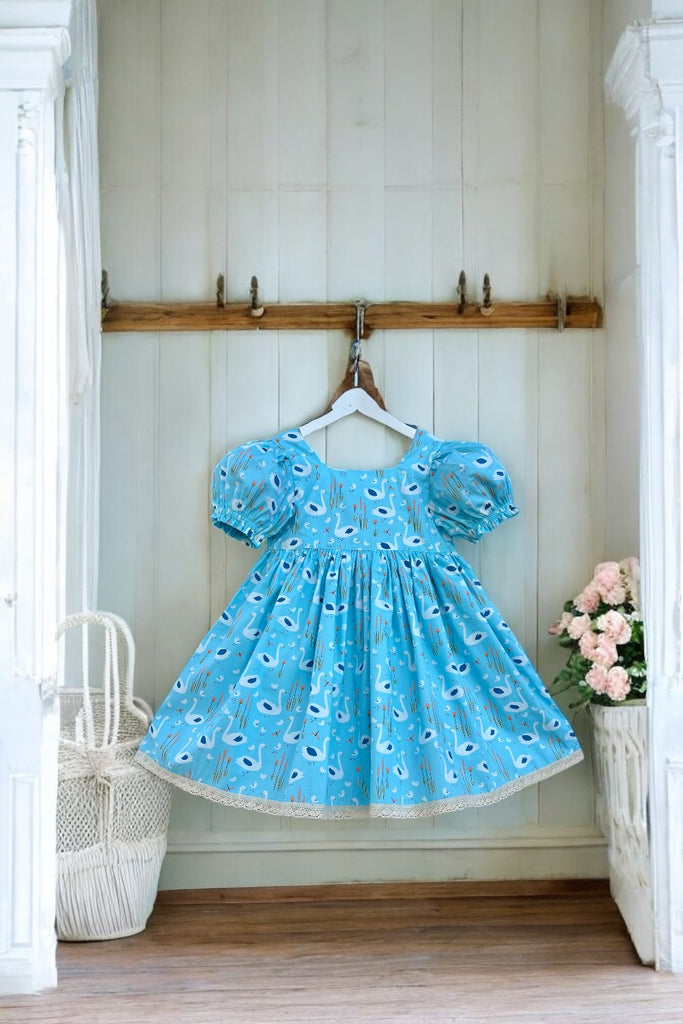 Babydoll Dress ~ Sz 6 | ‘Spring Walk’ from the Swan Family Collection by Cloud 9 (Organic Cotton)